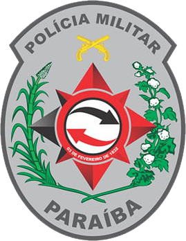 Logo 13